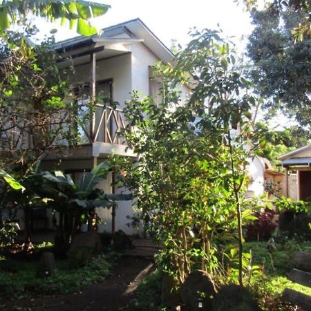 Hostal Marari Hanga Roa Bagian luar foto